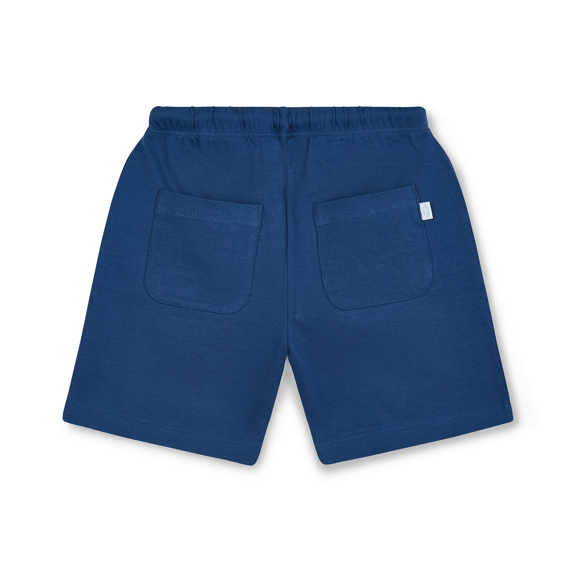 Mitch & Son, 2 piece shorts outfits, Mitch & Son - Blue 2 piece shorts outfit, polo T-shirt and shorts